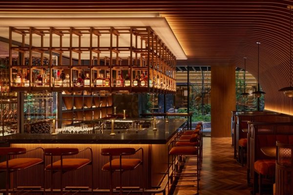 Why Travelers Look for Affordable Dusit Hotel rooms Based on Market Trends