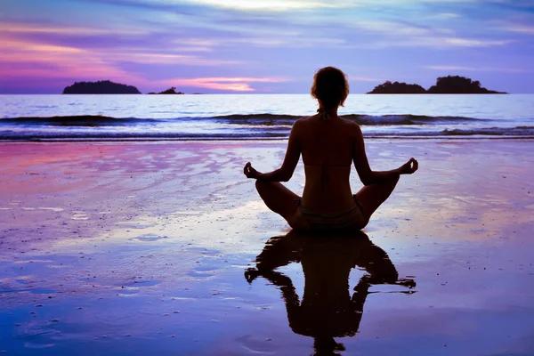 The Beginner’s Handbook for Pressure Disposable Carts