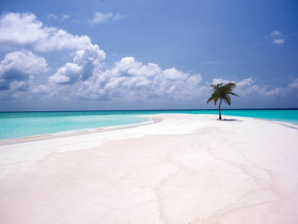 Comfortable Resort Wear for Men for Long Travel Days