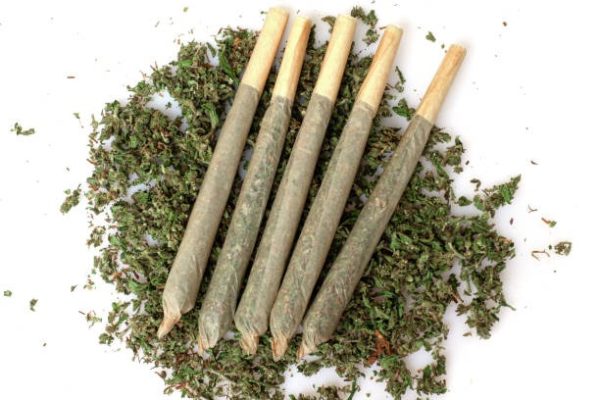 Terp Sourced Pre Rolls That Deliver a Premium Smoking Session