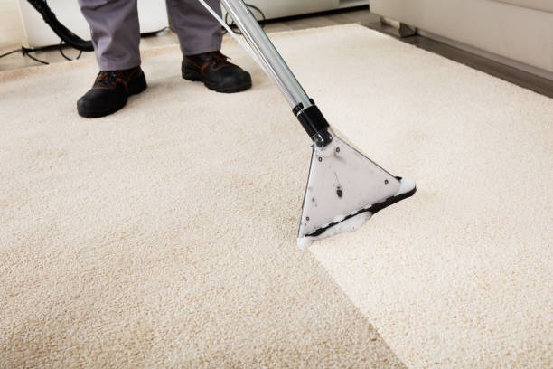 Upgrade Rug Care with Rug Cleaning Phoenix