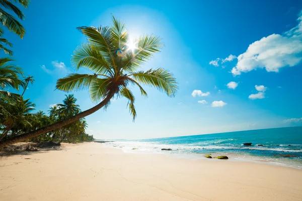 Top-Rated South Padre Island Vacation Condos for Every Budget