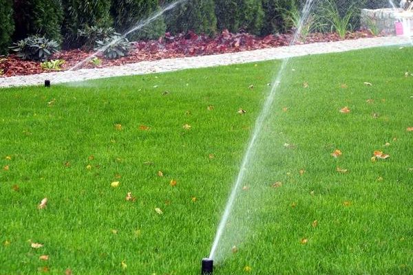 Fast response water mitigation services when you need help