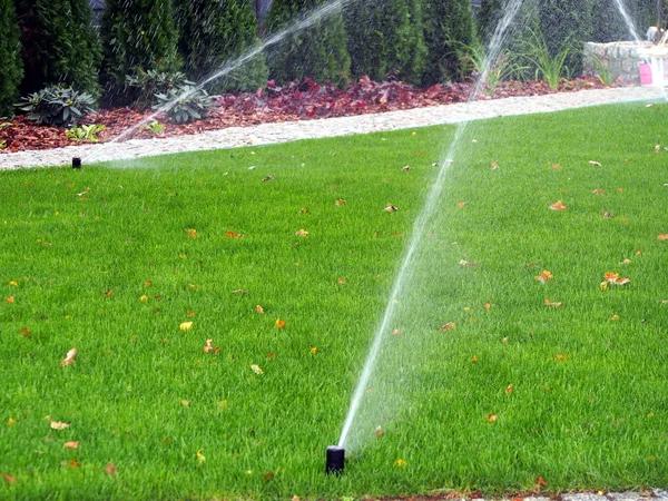 Fast response water mitigation services when you need help